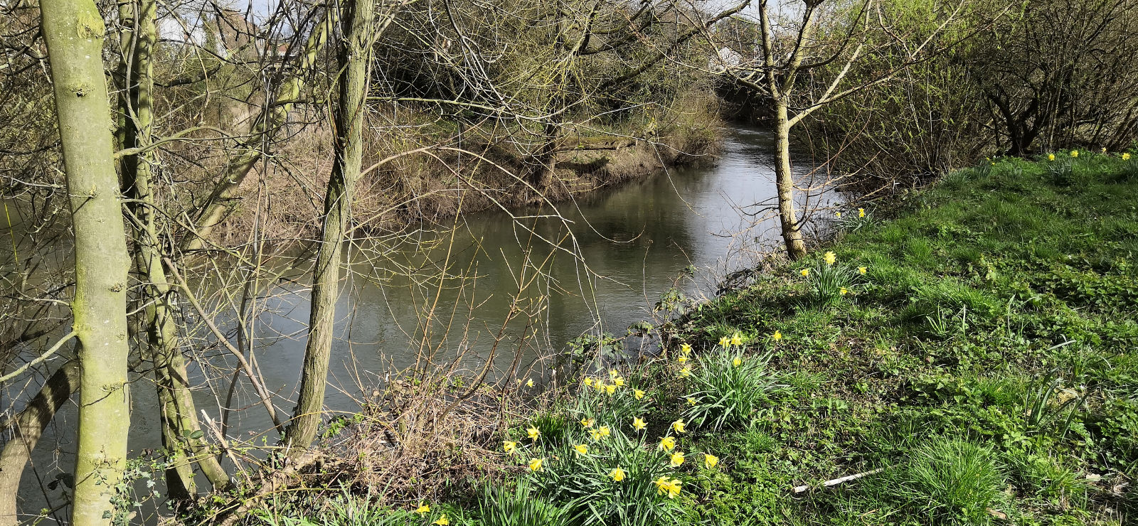 River Derwent between Malton and Norton